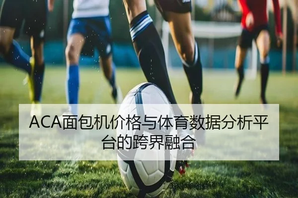ACA面包机价格与体育数据分析平台的跨界融合