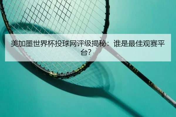 美加墨世界杯投球网评级揭秘：谁是最佳观赛平台？
